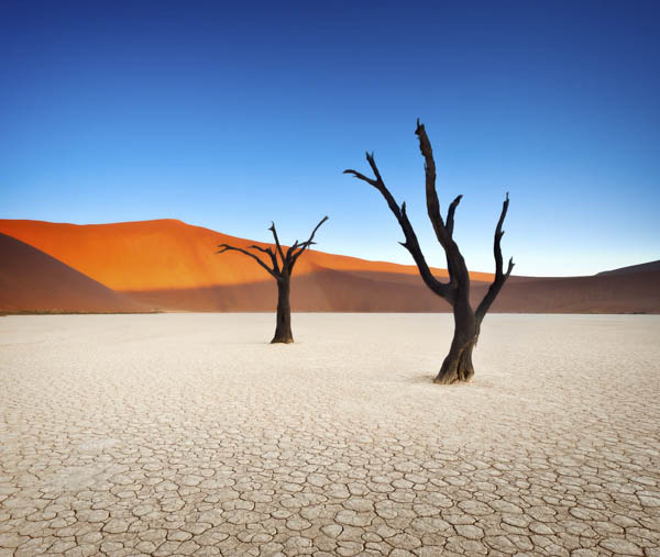 Namibian-desert_600-widthpx